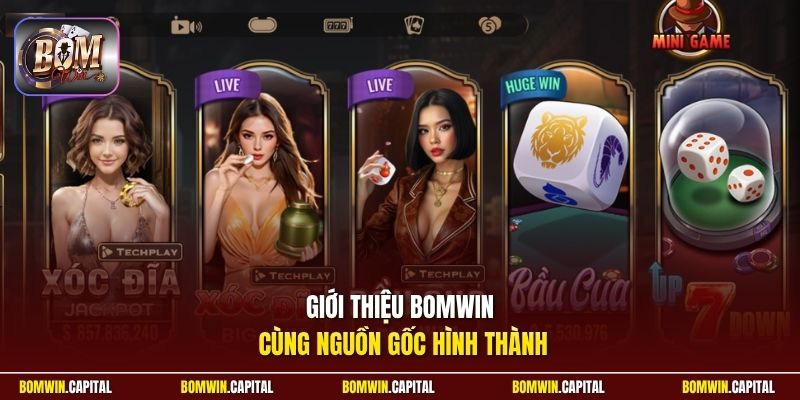Giới thiệu Bomwin cùng nguồn gốc hình thành