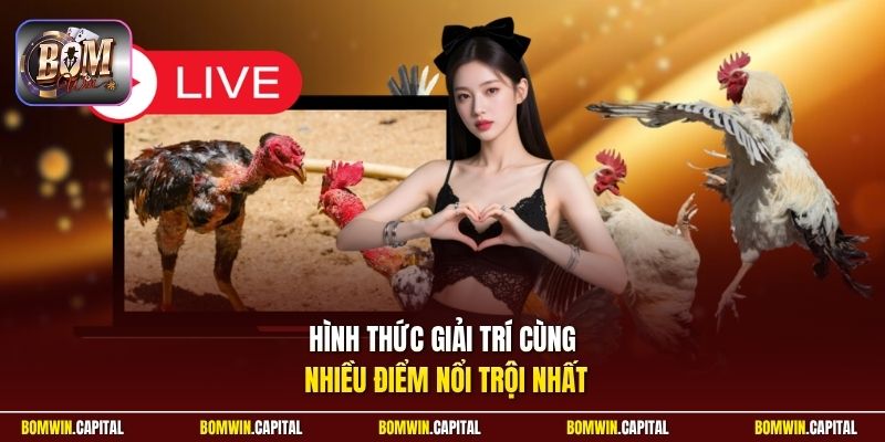 Hình thức giải trí cùng nhiều điểm nổi trội nhất