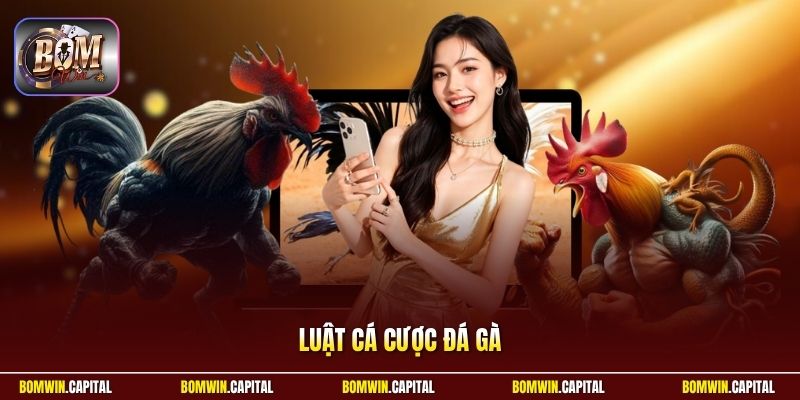 Luật Cá Cược Đá Gà - Hướng Dẫn Chi Tiết Khi Tham Gia Bomwin